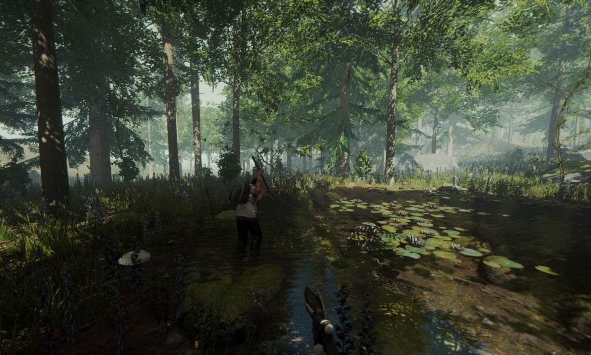 forest5bv1920x1080